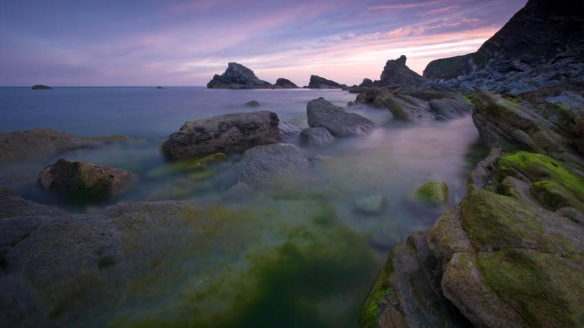 01651 greenaddict 2560x1440