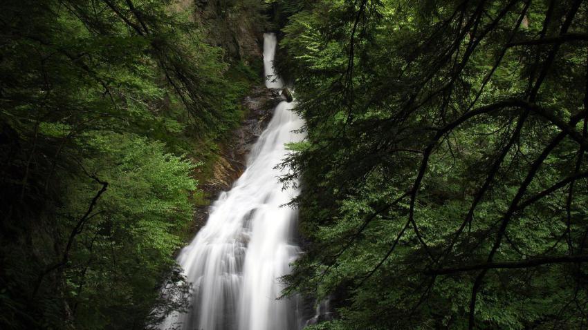 01657 waterfallinthewoods 2560x1440