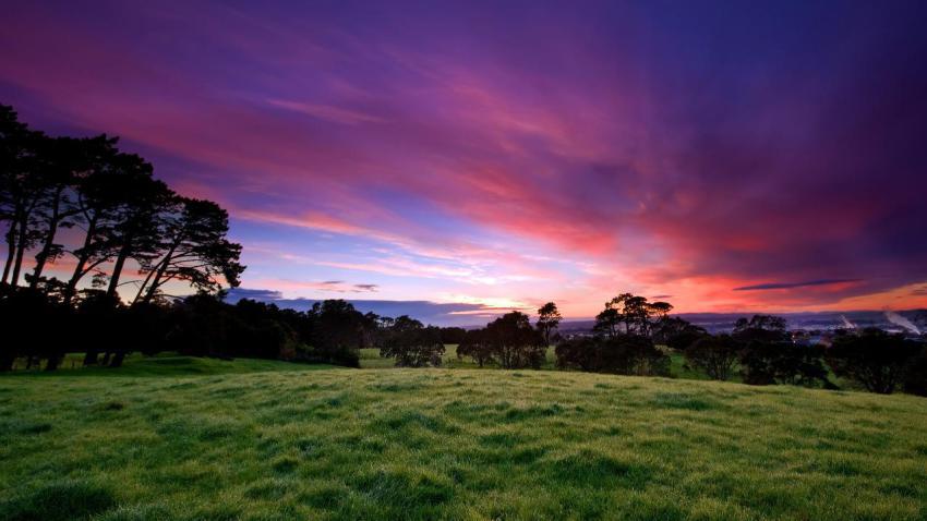 01689 beautifulmorning 2560x1440