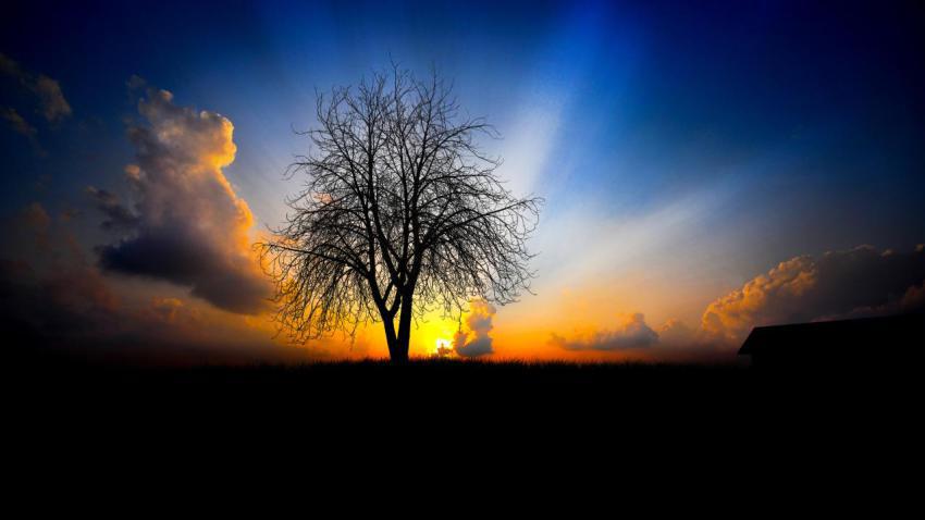 01790 waitingforthenextmorning 2560x1440