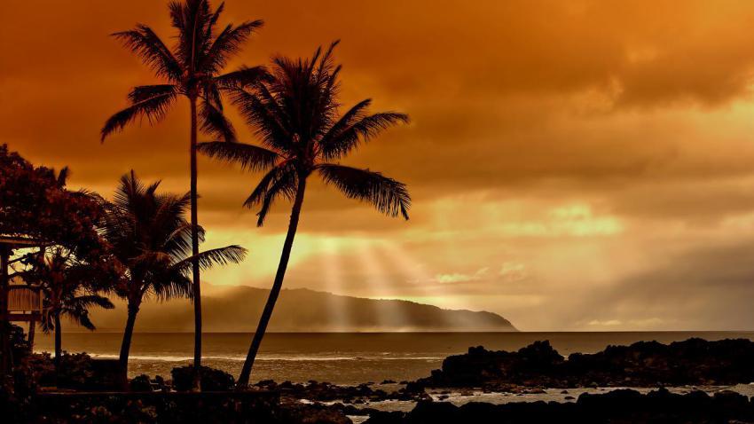 01801 sunsetinthetropics 2560x1440