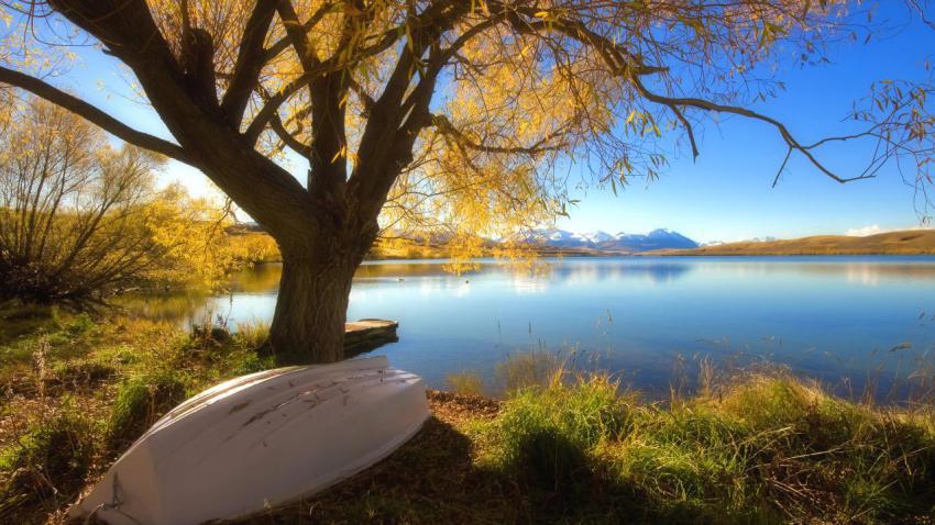 01991 autumnlake 2560x1440