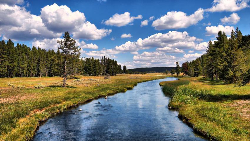 01992 grizzlyriver 2560x1440