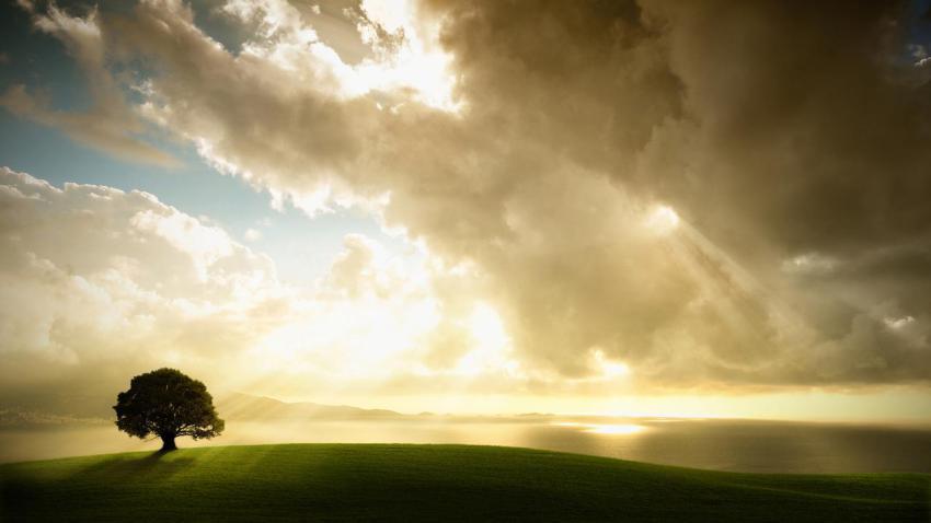 02032 enlightenment 2560x1440