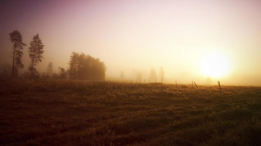 02147 thefence 2560x1440
