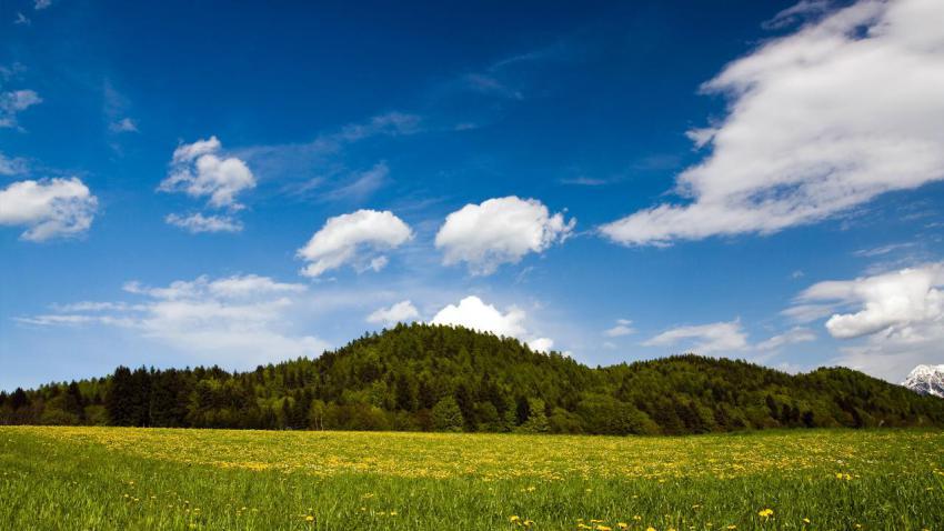 02168 springnature 2560x1440