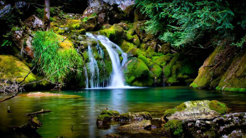 02445 vercorsforest 2560x1440