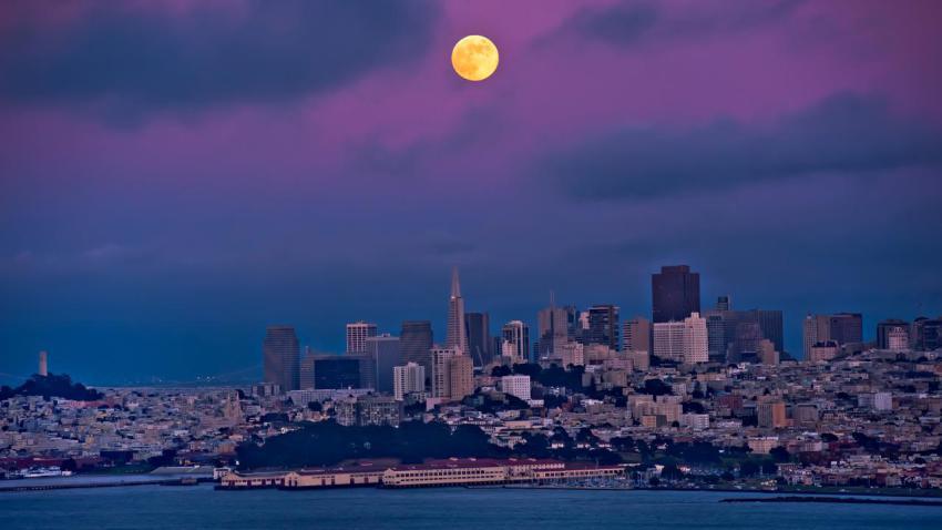 02784 sanfranciscofever 2560x1440