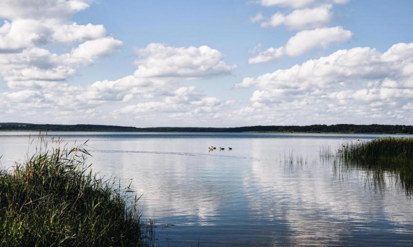 Landscape photo of a lake with reflection of sky a 2023 11 27 04 52 44 utc