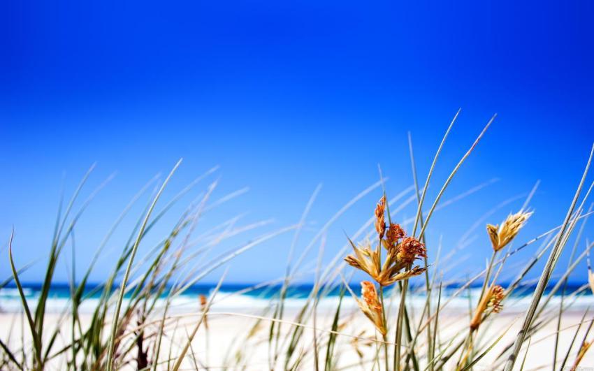 100 Amazing Mixed Wallpapers {Pack 344} (2)