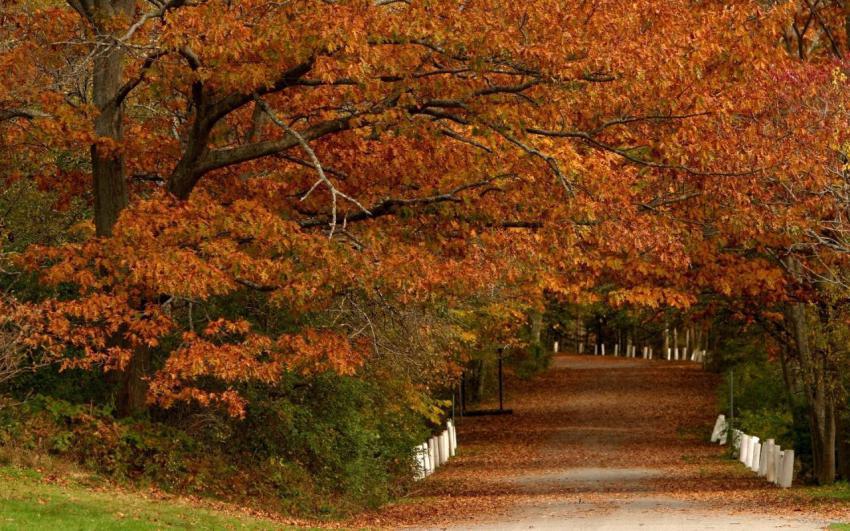 100 Amazing Mixed Wallpapers {Pack 344} (8)