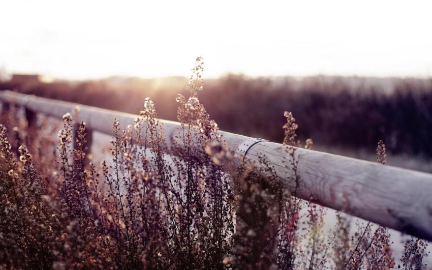 100 Amazing Mixed Wallpapers {Pack 344} (66)