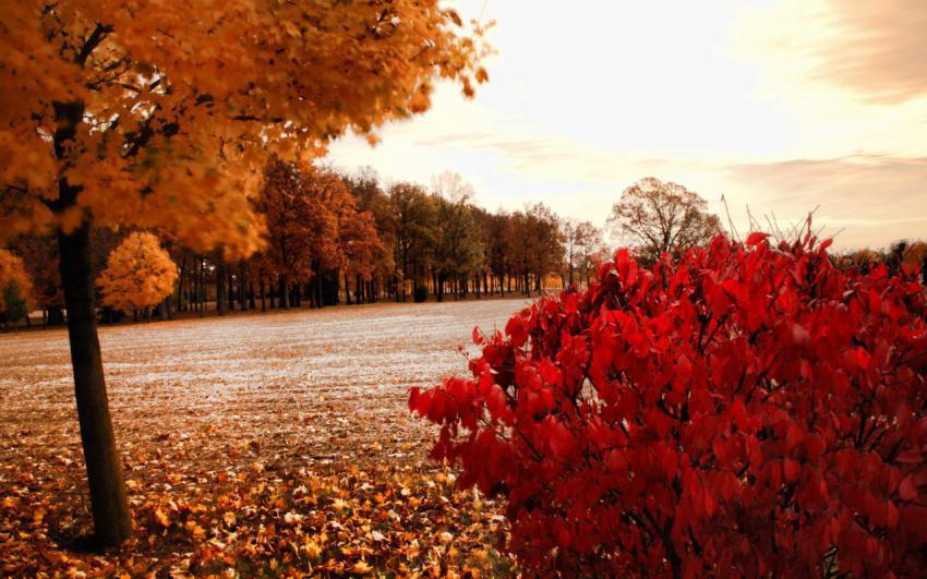 Landscape, natural, background, free download (13)