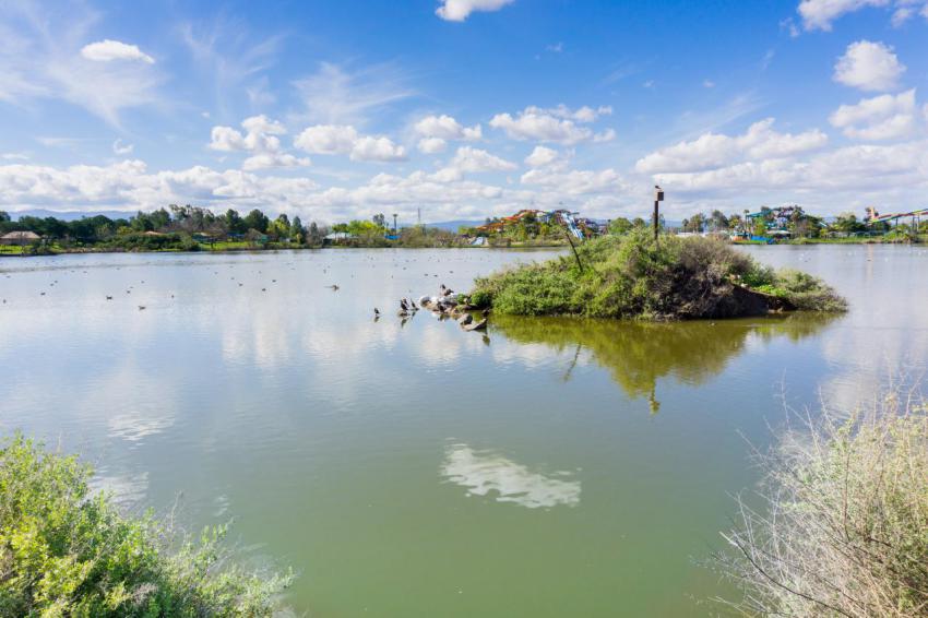 Island in the middle of Cunningham Lake on a sunny day, San Jose