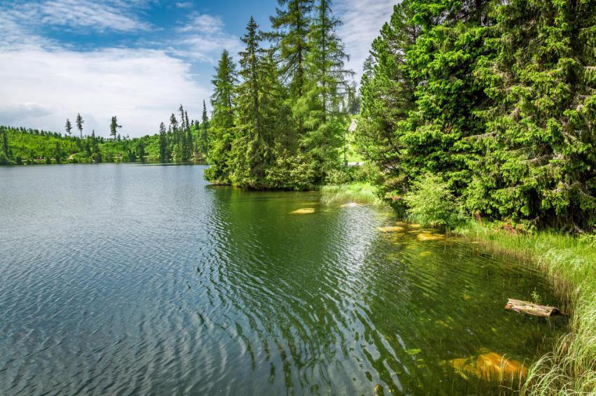 Strbske pleso lake in tatra mountains slovakia 2023 11 27 04 53 11 utc