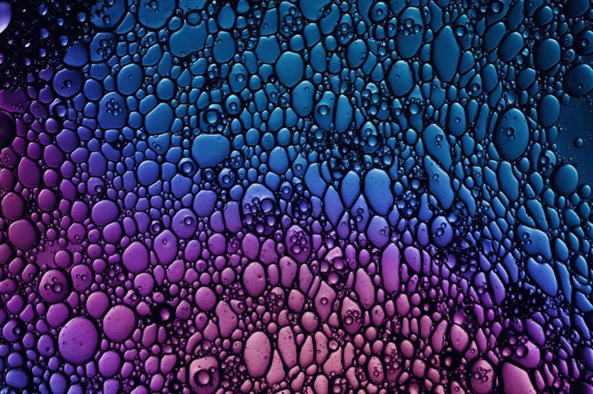 Vivid neon colors abstract liquid background 2025 01 09 04 19 15 utc