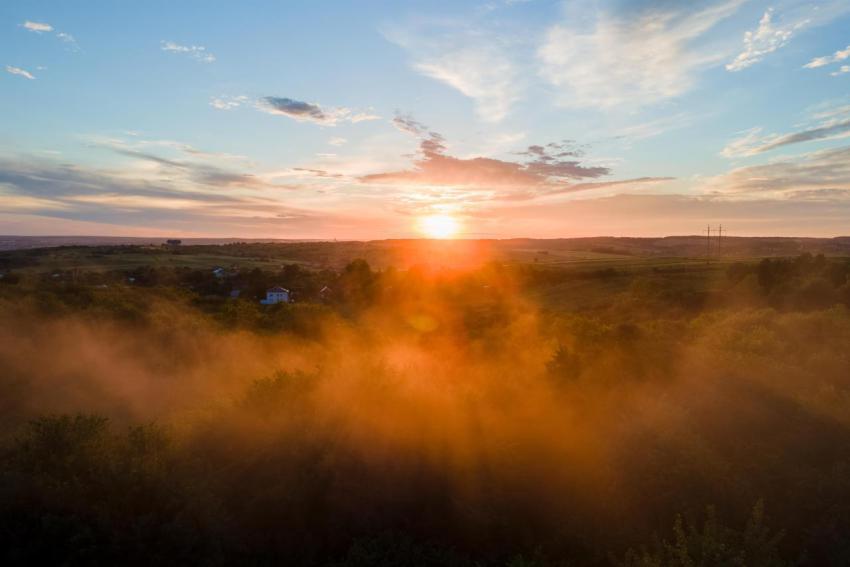 Aerial view of light fog covering dark forest tree 2024 12 06 13 22 09 utc