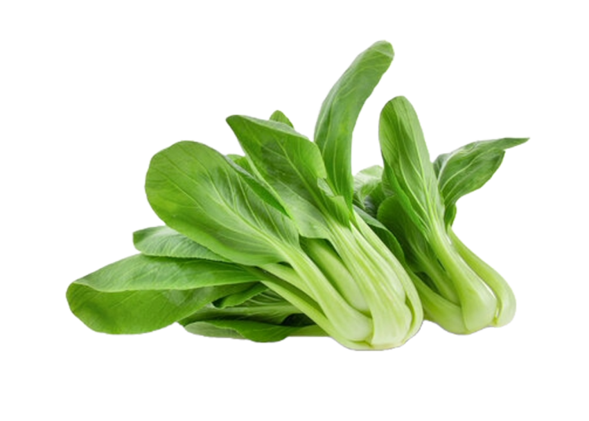 Vegetables png file free download (frefile com) 214