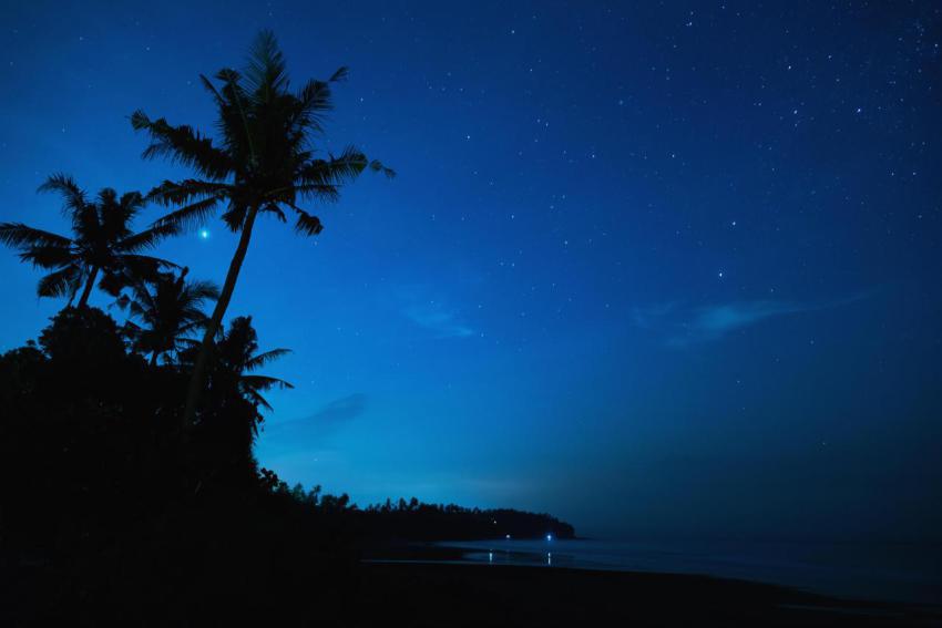 Scenic night sky with a lot of stars and palm tree 2024 10 18 03 43 51 utc