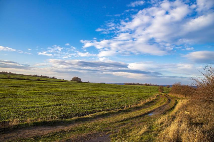 Rural landscape 2023 11 27 05 09 21 utc
