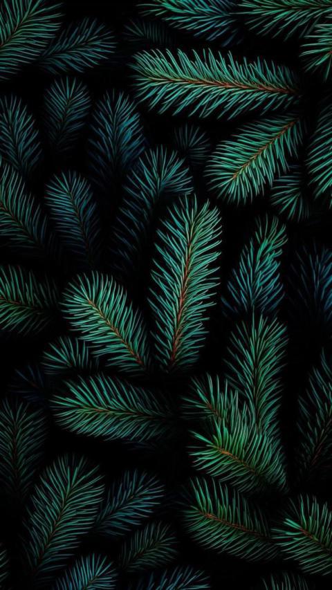 Phone Wallpaper (19)