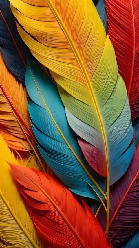Phone Wallpaper (426)