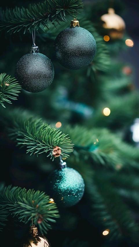 Phone Wallpaper (469)