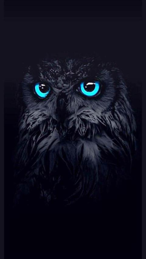 Phone Wallpaper (761)