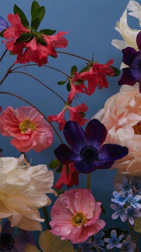 Phone Wallpaper (223)