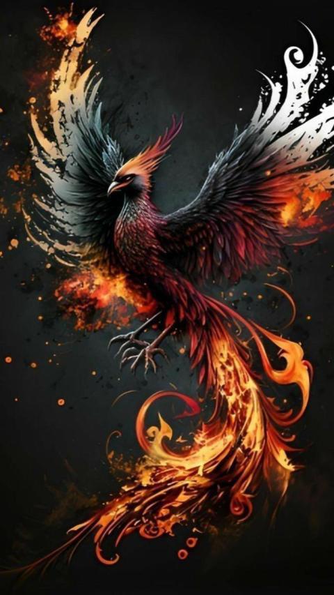 Phone Wallpaper (364)
