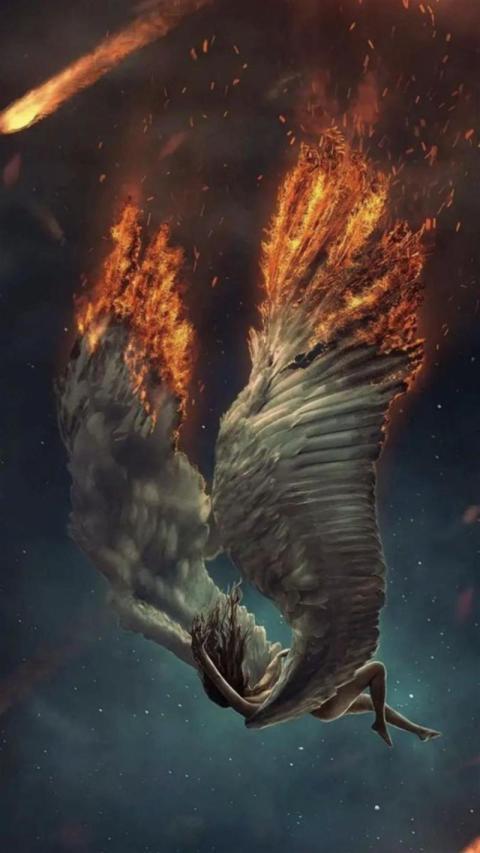 Phone Wallpaper (560)