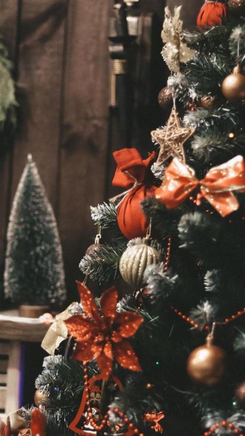 Phone Wallpaper (725)