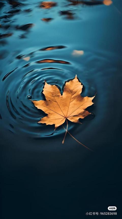 Phone Wallpaper (124)