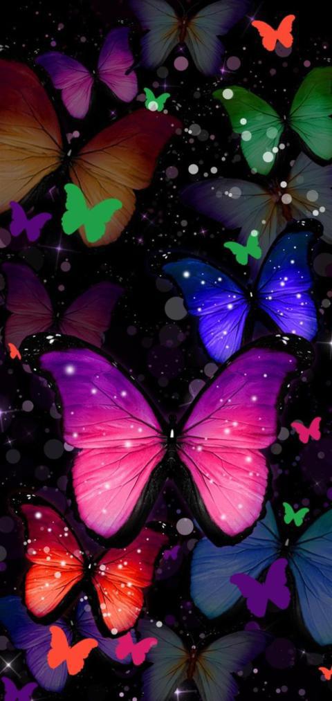 Phone Wallpaper (85)