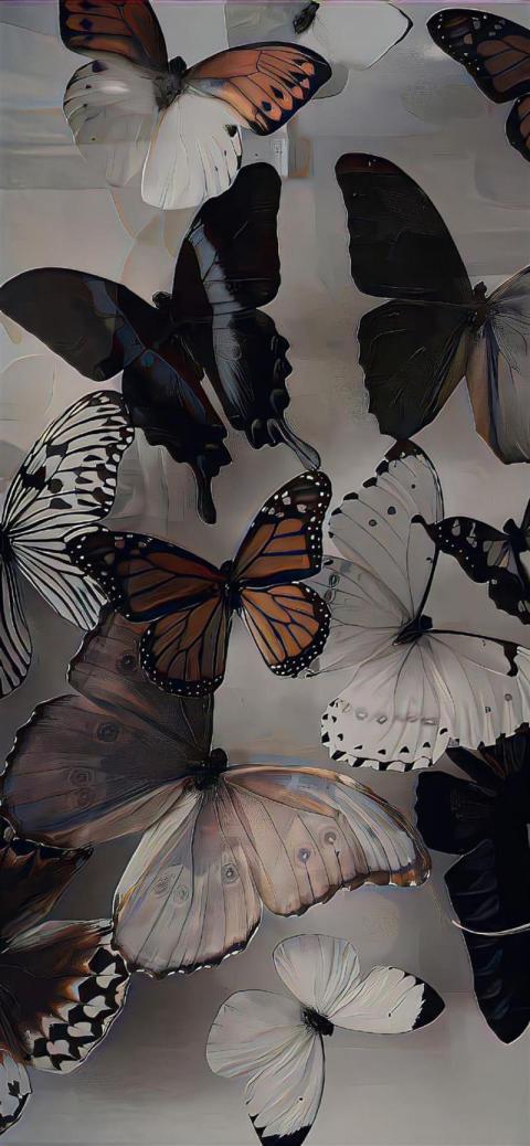 Phone Wallpaper (72)