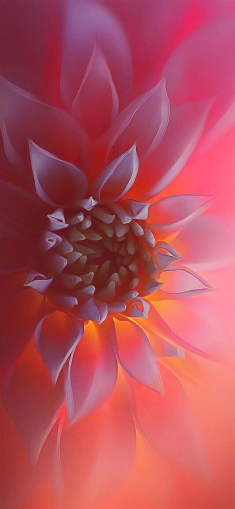 Phone Wallpaper (322)
