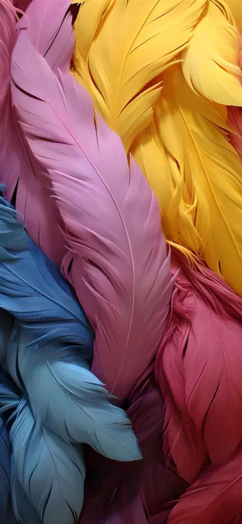 Phone Wallpaper (316)
