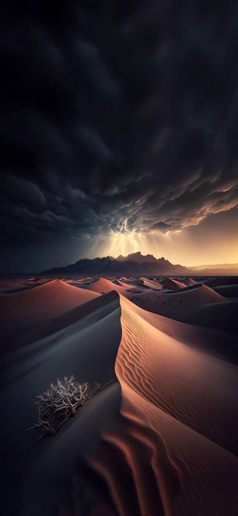 Phone Wallpaper (368)