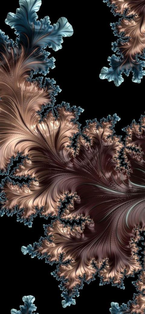Phone Wallpaper (681)