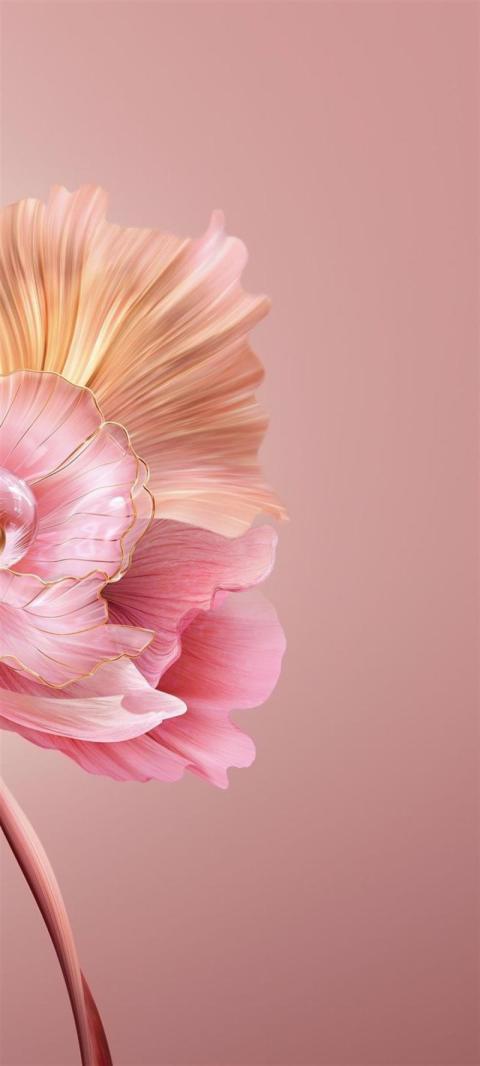 Phone Wallpaper (74)