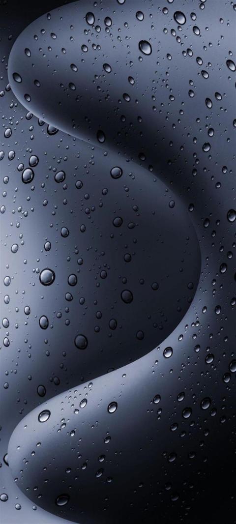 Phone Wallpaper (169)