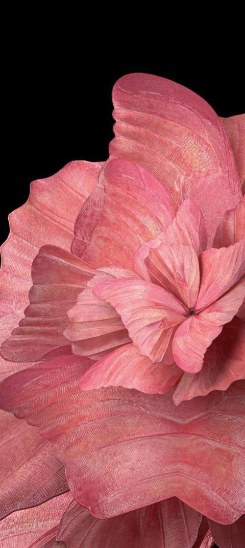 Phone Wallpaper (470)