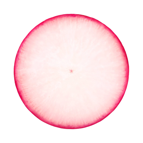File   2025 01 19T171252 516