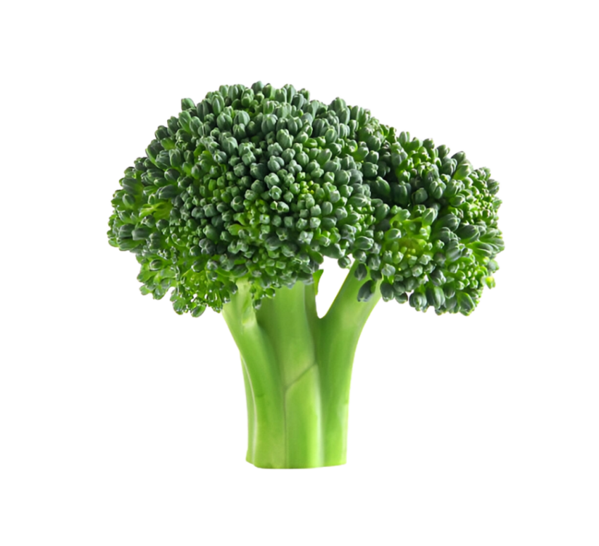 Vegetables png file free download (frefile com) 103