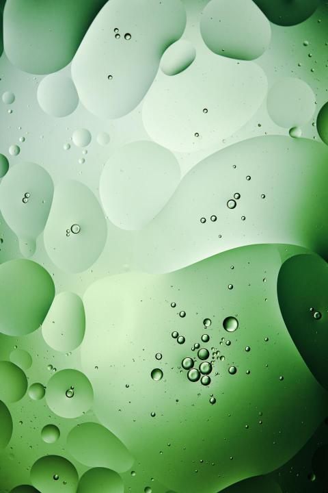 Abstract background from mixed water and oil bubbles in green co