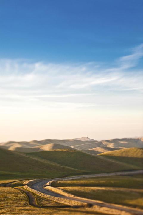 Road in rolling hills 2023 11 27 05 35 12 utc