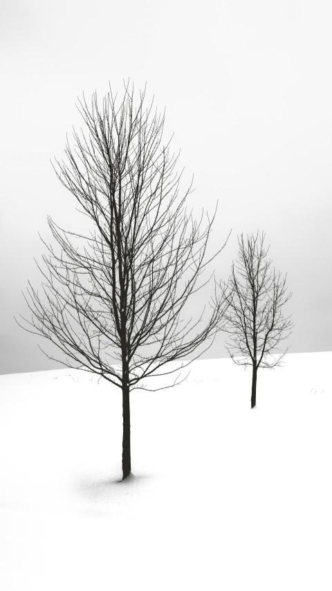 Phone Wallpapers (106)